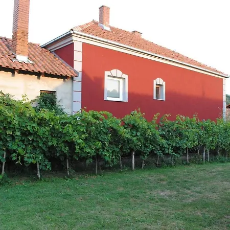 Happy Story * Knjazevac