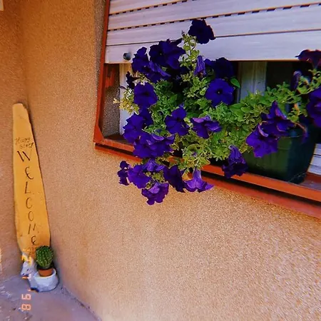 Happy Story 公寓 Knjazevac