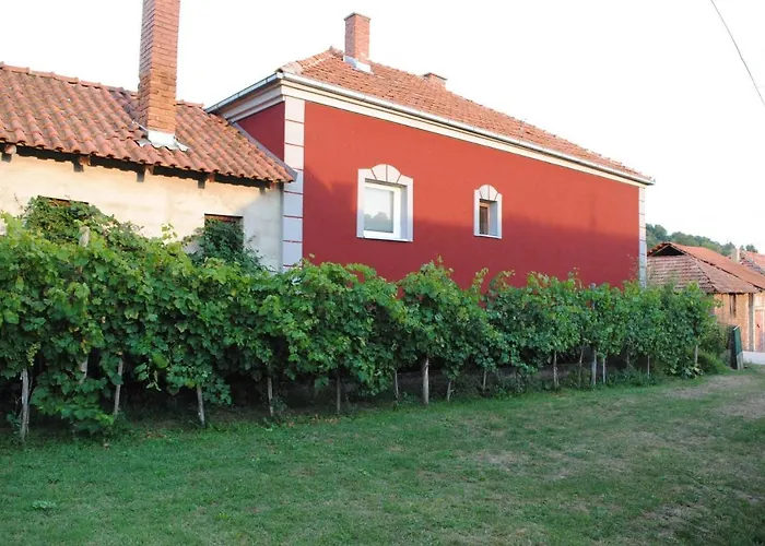 Happy Story * Knjazevac