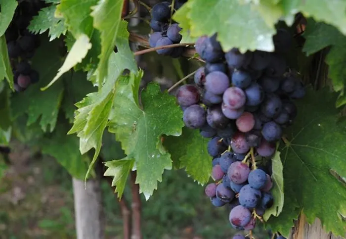 Апартаменты Happy Story