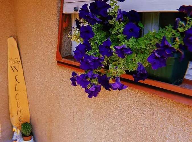 Happy Story Апартаменты Knjazevac